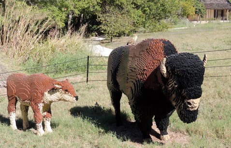 Mother Bison and her Calf copy