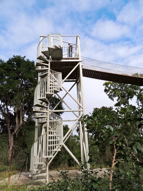 Tree Tower at Santa Ana Refuge